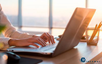 Descubra las novedades para autónomos para 2019